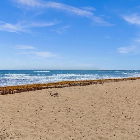 The Shell On Walnut Studio With Bath Hollywood Beach Free Parking Dania Beach Dış mekan fotoğraf
