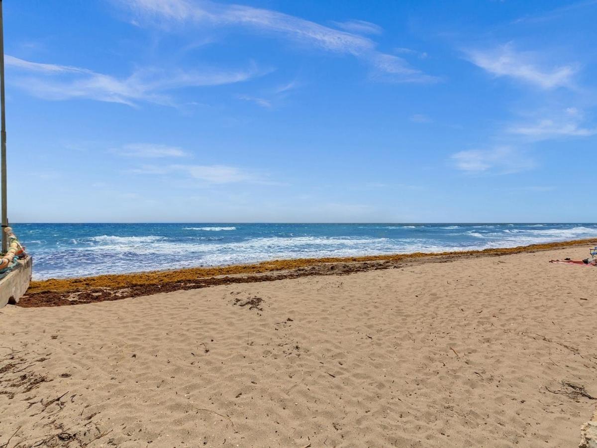The Shell On Walnut Studio With Bath Hollywood Beach Free Parking Dania Beach Dış mekan fotoğraf