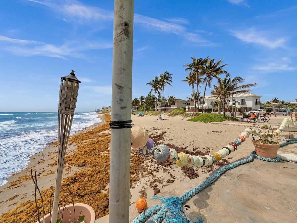 The Shell On Walnut Studio With Bath Hollywood Beach Free Parking Dania Beach Dış mekan fotoğraf